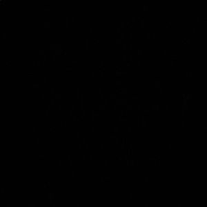 Meet your Posher, Kriztelle